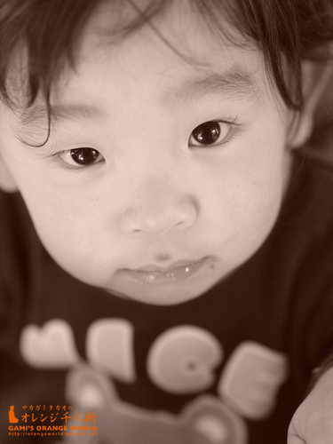 0496-No.88コータ2.jpg