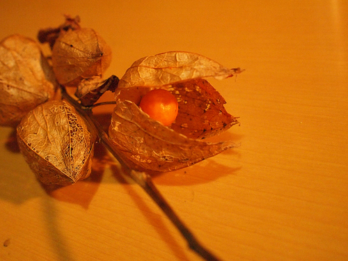PA051824.jpg