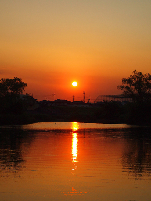 0347大吉親水公園の夕日1.jpg