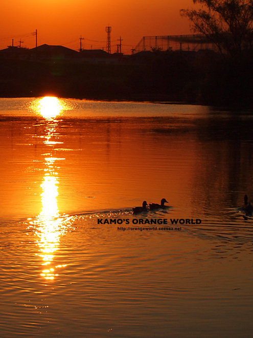 0347大吉親水公園の夕日2.jpg