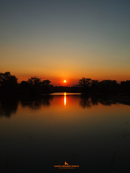 0347大吉親水公園の夕日3.jpg