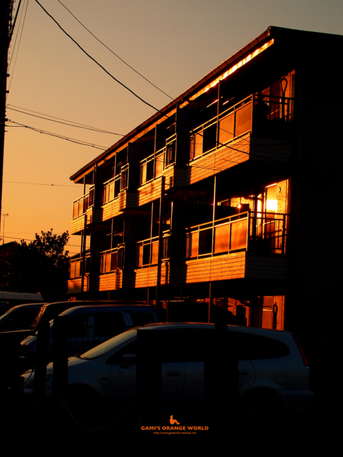0351夕陽の反射.jpg
