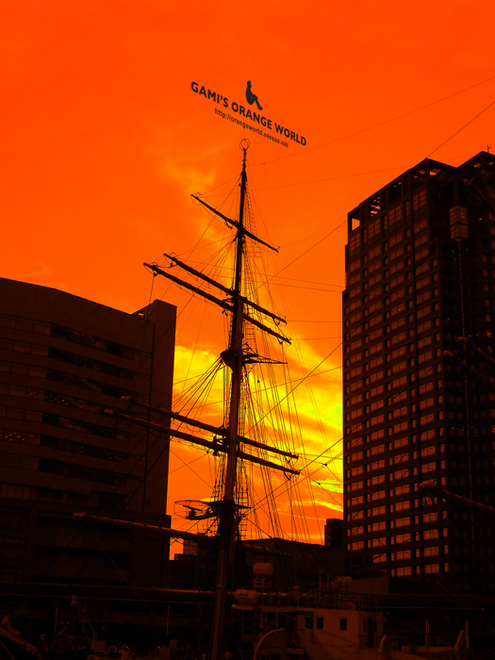 0367日本丸と夕焼け.jpg