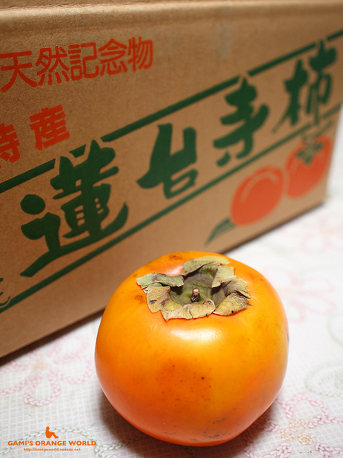 0434蓮台寺柿1.jpg