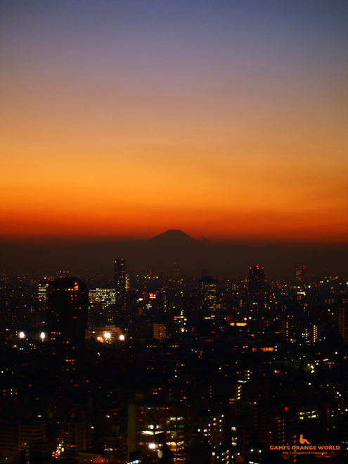 0468東京タワーから見た夕焼けと富士山2.jpg