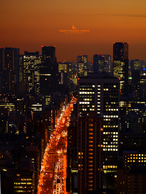 0469東京タワーから見たオレンジの道1.jpg