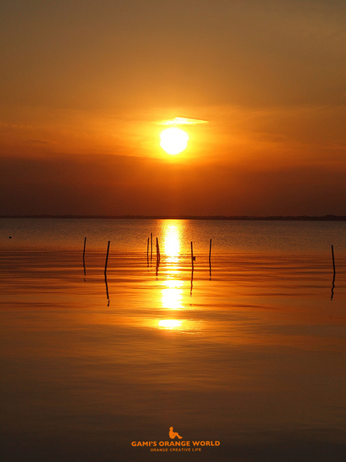 0498霞ヶ浦の夕日1.jpg