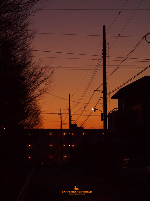 0525花田の夕焼け.jpg
