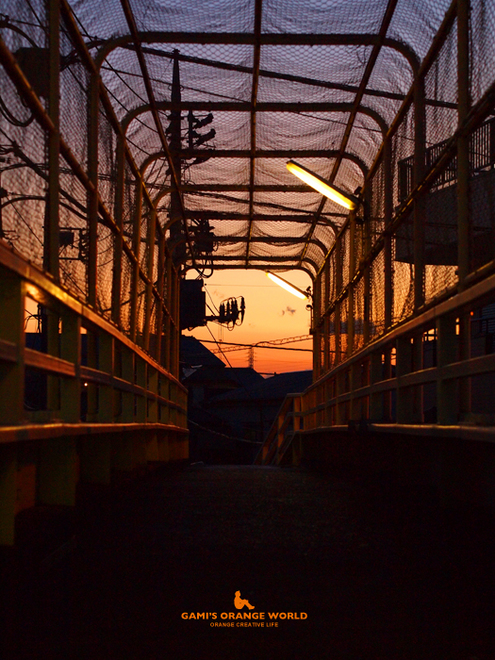 0553歩道橋からオレンジの夕焼け.jpg