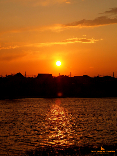 0562大吉親水公園の夕日.jpg