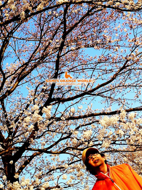 0565桜と私.jpg