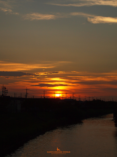 329越谷の夕日.jpg
