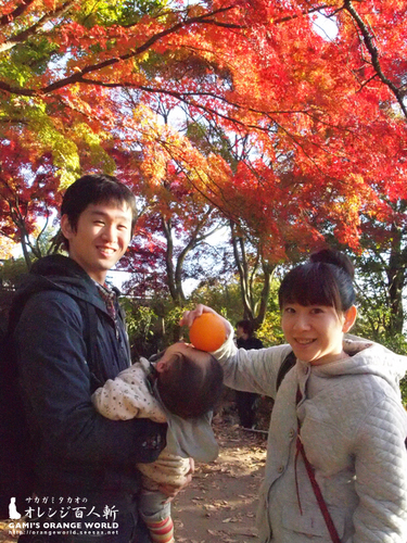 まっしーとりえぼん.jpg