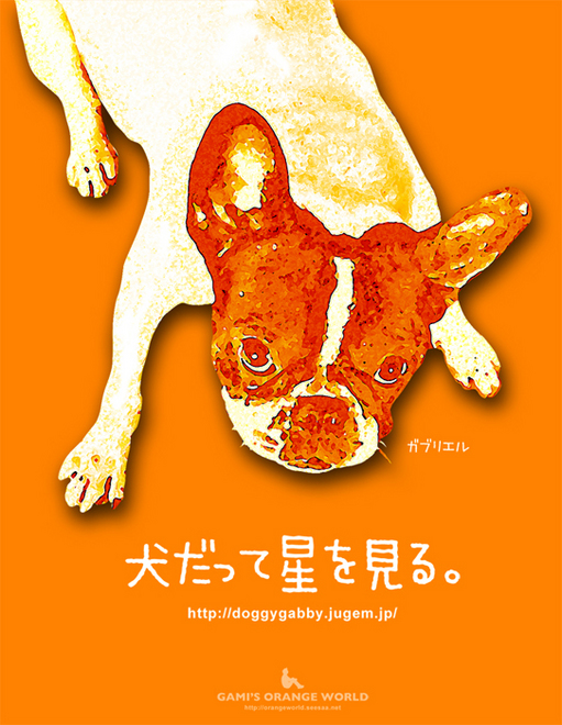 フレンチブルドックガビー13.jpg