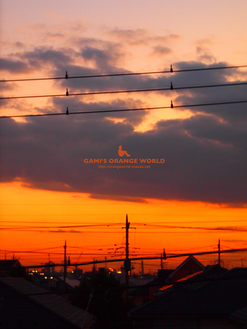 ロフトからの越谷の夕焼け.jpg