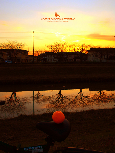新方川2.jpg