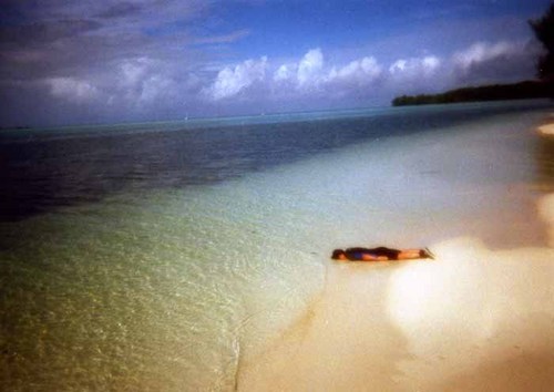 測る(パラオ海岸).jpg