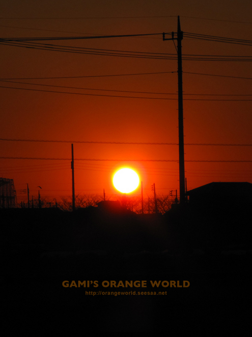 越谷の夕日2010-01-24.jpg