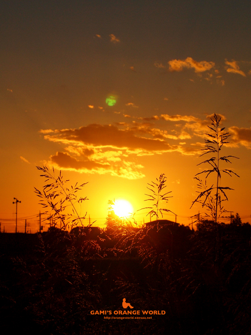 越谷の夕日5.jpg