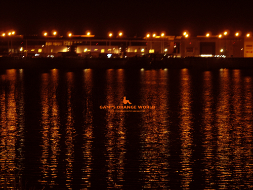 越谷レイクタウンの夜景.jpg