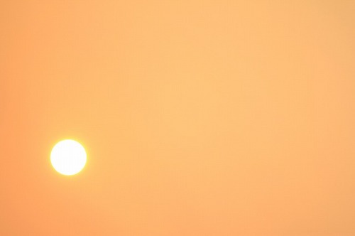 IMG_3497.jpg