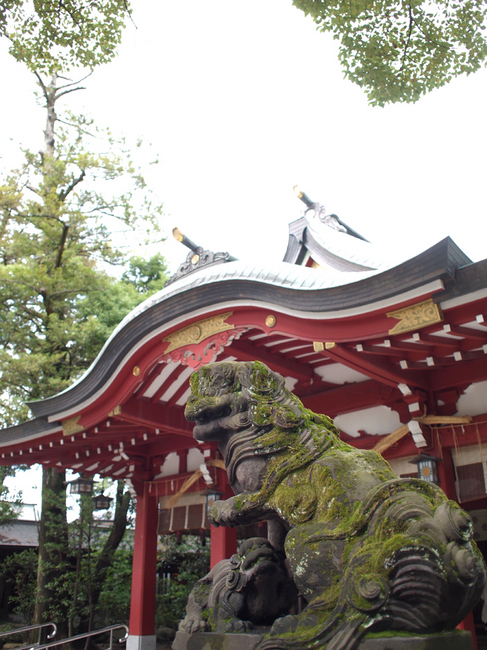 PA011253.jpg