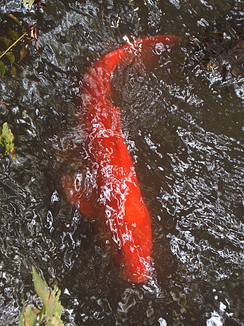 PA011559.jpg