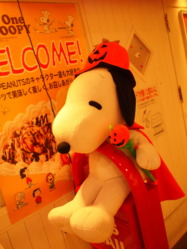 PA132986.jpg