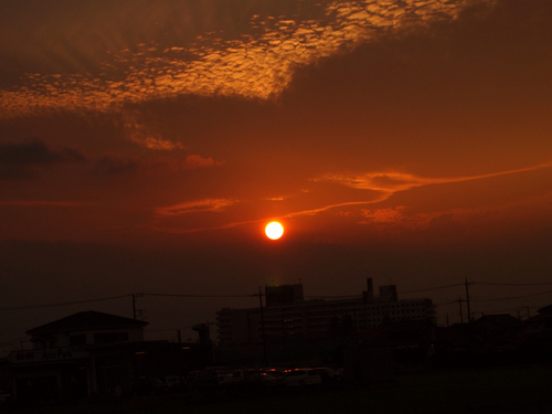 PA133237.jpg