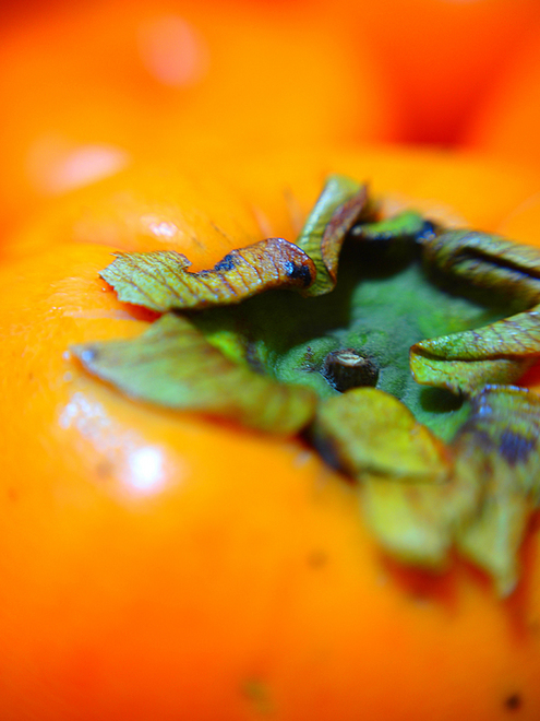 PA285640.jpg