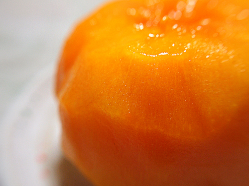 PA285744.jpg