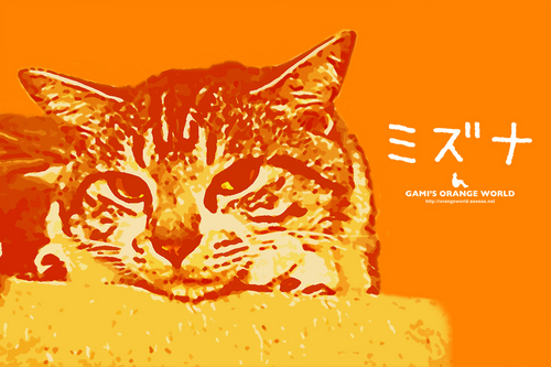 mizunaオレンジ.jpg